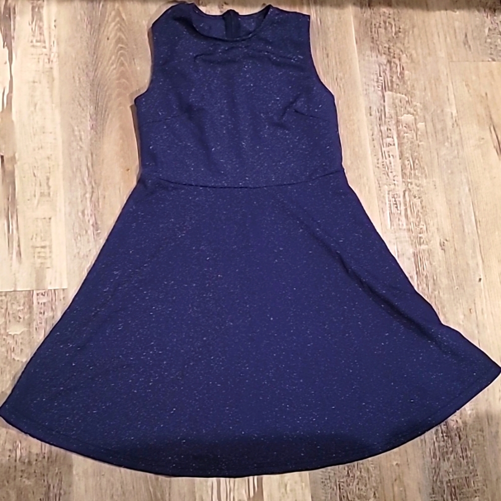 Large Navy blue dress